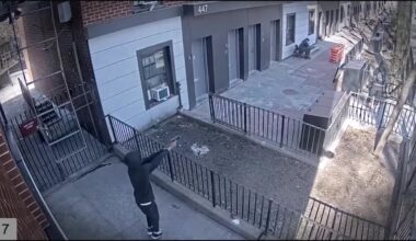 NYC gang membership reaches all-time high, police warn