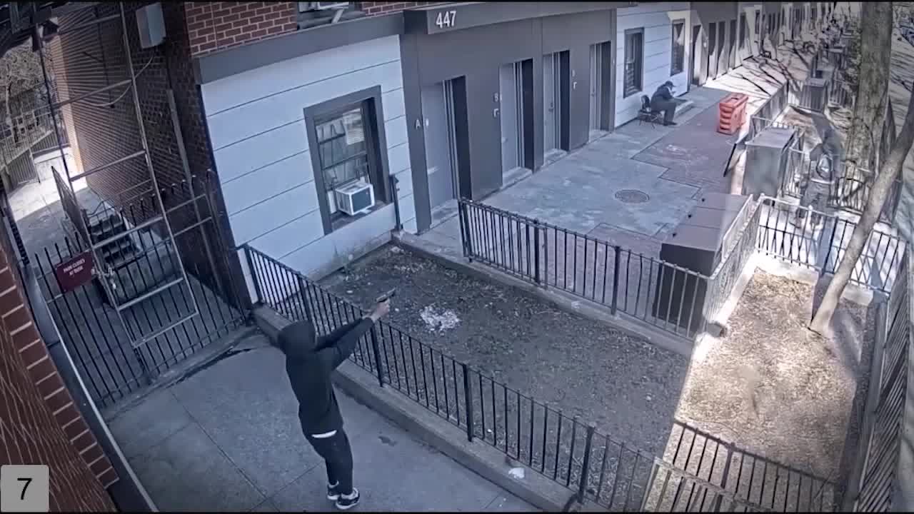 NYC gang membership reaches all-time high, police warn