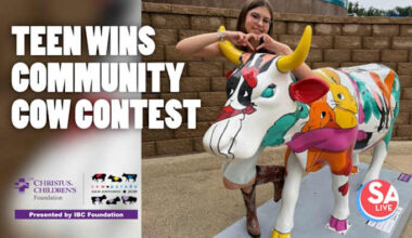 This 15-year-old artist wins Community Cow contest in CowParade San Antonio