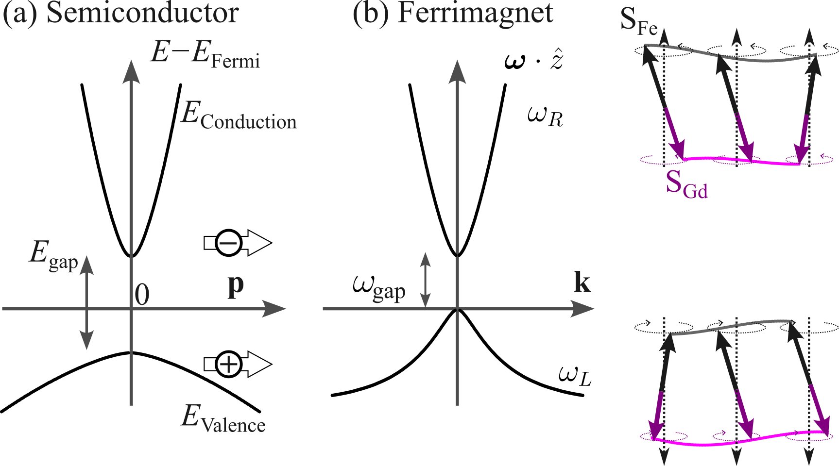 Ferrimagnet spin waves act like bosonic semiconductors, study finds