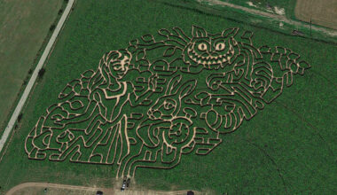 San Antonio-area pumpkin patches and corn mazes to check out for fall 2025