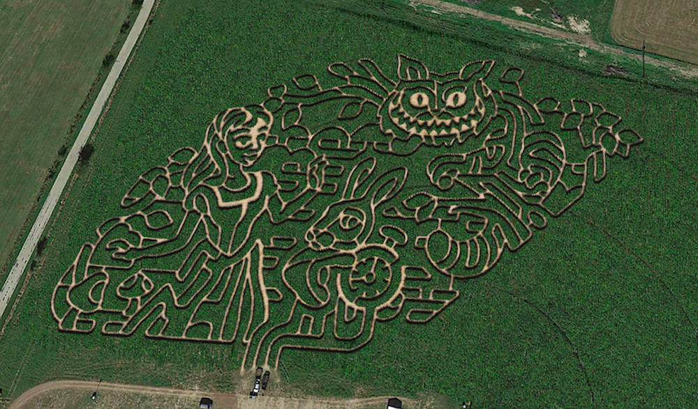 San Antonio-area pumpkin patches and corn mazes to check out for fall 2025