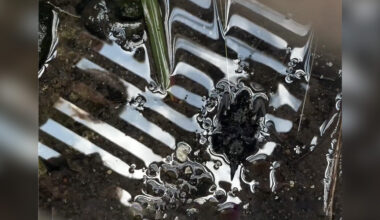 Journalist Discovers Someone Inside A Storm Drain And Reunites A Family