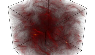 3D particle-in-cell simulations demonstrate first true steady state in turbulent plasma