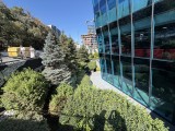 Apple iPhone 17: 24MP ultrawide camera samples - f/2.2, ISO 40, 1/590s - Apple iPhone 17 review