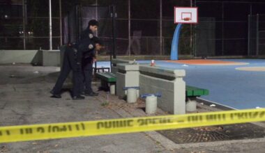 17-year-old shot in Bronx NYCHA courtyard, suspect wanted, NYPD says