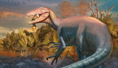 How mean was this new Argentine dinosaur? It had a croc leg in its jaws