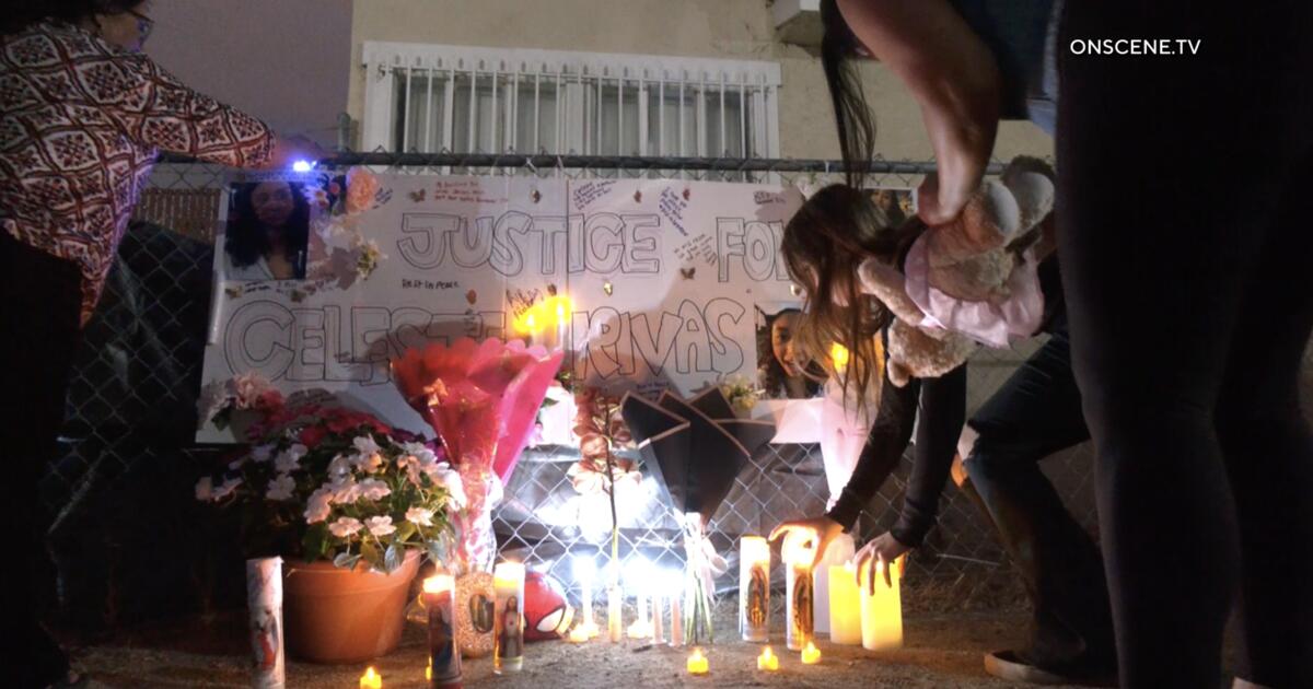 D4Vd's abandoned Tesla was ticketed 11 days before Celeste Rivas Hernandez's body found inside