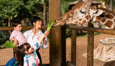 San Antonio Zoo offering free admission for teachers through Oct. 5