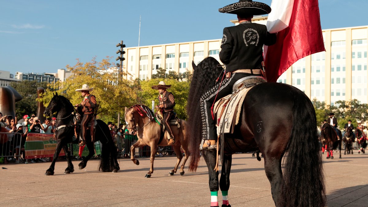 Images from Viva Dallas 2025 – NBC 5 Dallas-Fort Worth