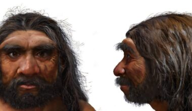 Epiphanies and brain states; a baffling skull find; achieving well-being in old age