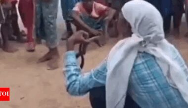 Snake rescuer tries to kiss the snake and what happened next is something people will never forget |