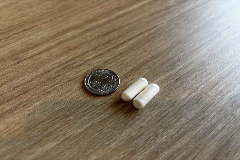 Best probiotic supplements