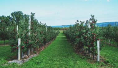 Beak & Skiff Named One of America’s Best Apple Orchards