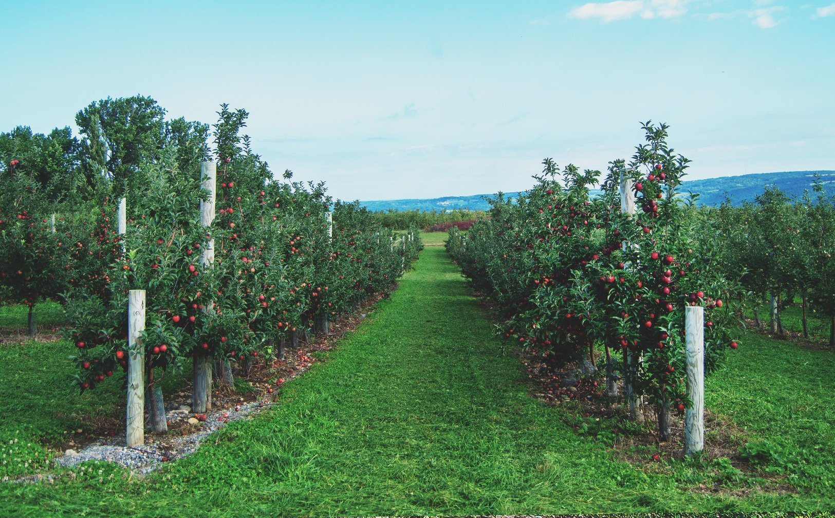 Beak & Skiff Named One of America’s Best Apple Orchards