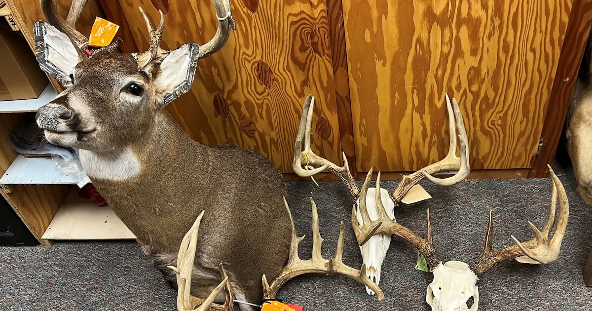 Headless deer in Upstate NY field leads to arrest of prolific poacher – This is CNY