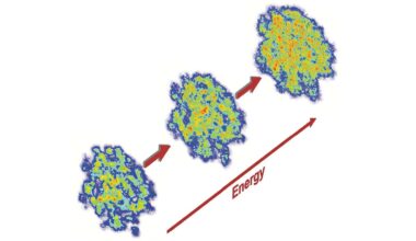 Improved models of heavy ion collisions reveal new details of early universe nuclear matter