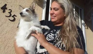 Blessing of animals at Father Joe’s Villages
