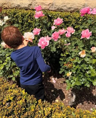 Instagram Prince Archie in 2025.