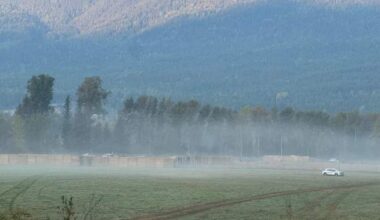 B.C. ostrich cull: Stay granted as hay-bale wall burned by fire