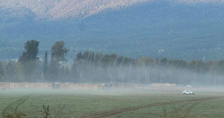 B.C. ostrich cull: Stay granted as hay-bale wall burned by fire