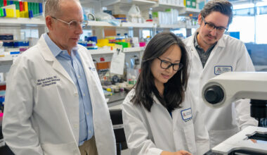 From left, University of Arizona researchers Dr. Michael Fallon, Hyo Jin Park, Ph.D., and Timothy Marlowe, Ph.D., are working to transform the treatment of liver fibrosis at the Phoenix Bioscience Core.