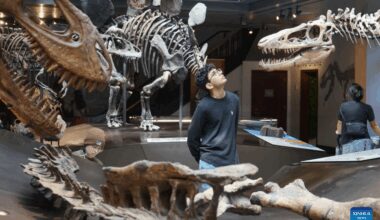 Natural History Museum of Los Angeles County opens its 10th annual Dino Fest-Xinhua
