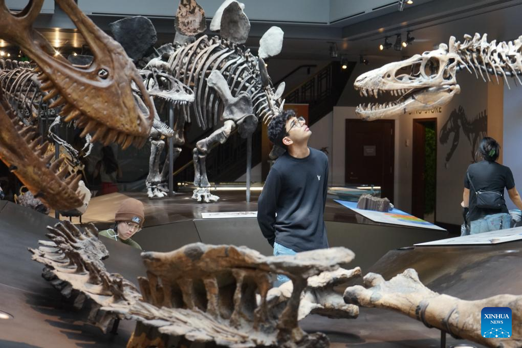 Natural History Museum of Los Angeles County opens its 10th annual Dino Fest-Xinhua