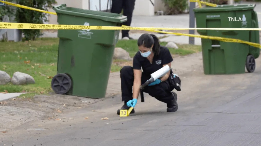 Woodland Hills break-in