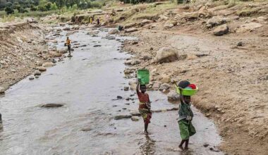 Malawi farmers use AI chatbot to weather climate change
