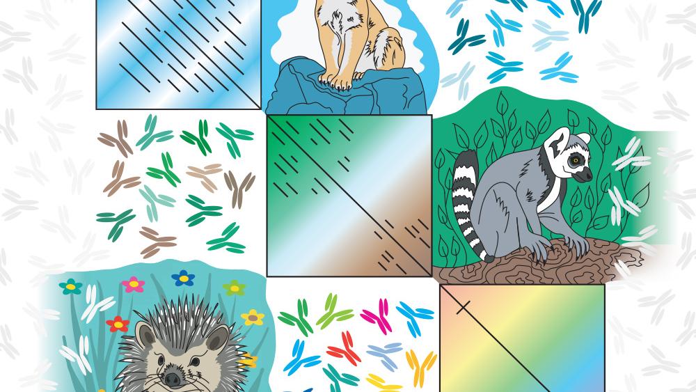 Population bottlenecks cause decline of mammals’ immunity, researchers find