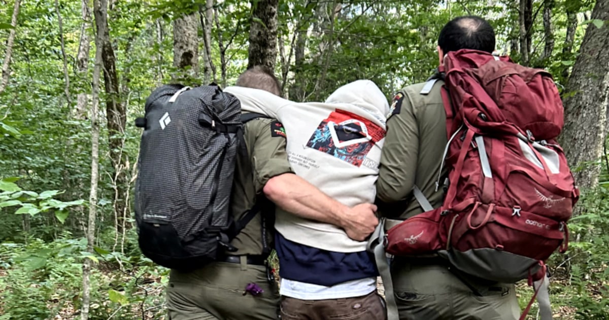 Hikers experiencing 'debilitating high' from magic mushrooms rescued from N.Y. wilderness