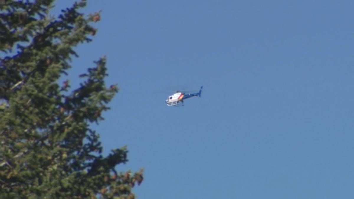 Click to play video: 'Search expands for missing 6-year-old Alberta boy'