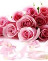 Baby Girl MARIGOLD EMELINE JENKINS - September 8, 2025 — September 8, 2025