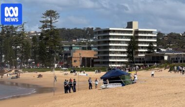 Man dies in shark attack on Sydney's Northern Beaches