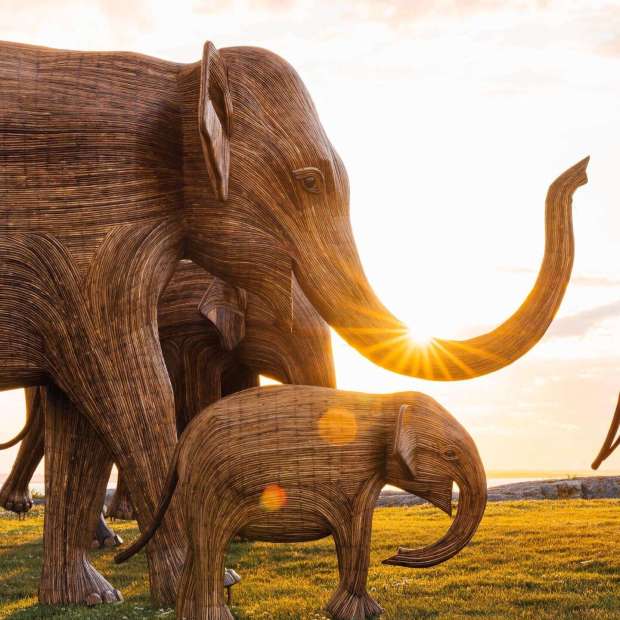 The Sonoma Community Center is set to welcome two life-size...