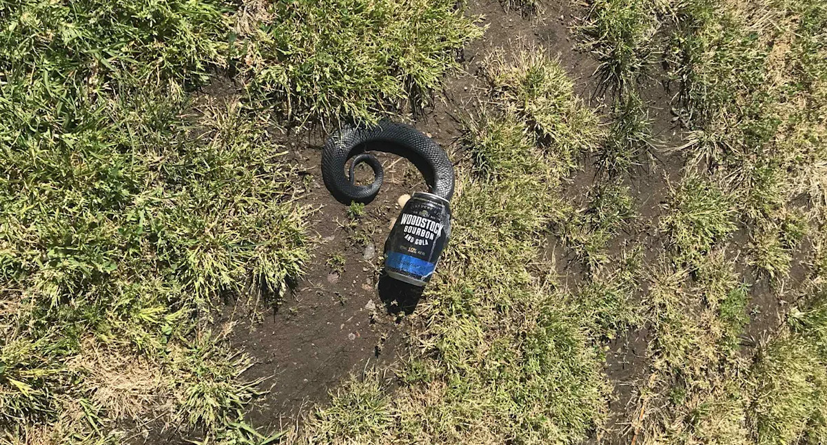 Aussie truck driver makes sad find inside bourbon can after pulling sudden U-turn