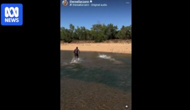 Video allegedly showing man trying to catch freshwater crocodile prompts investigation