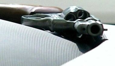 Court strikes down Florida’s open carry ban