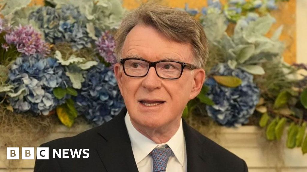 Mandelson 'called Epstein best pal' in birthday message
