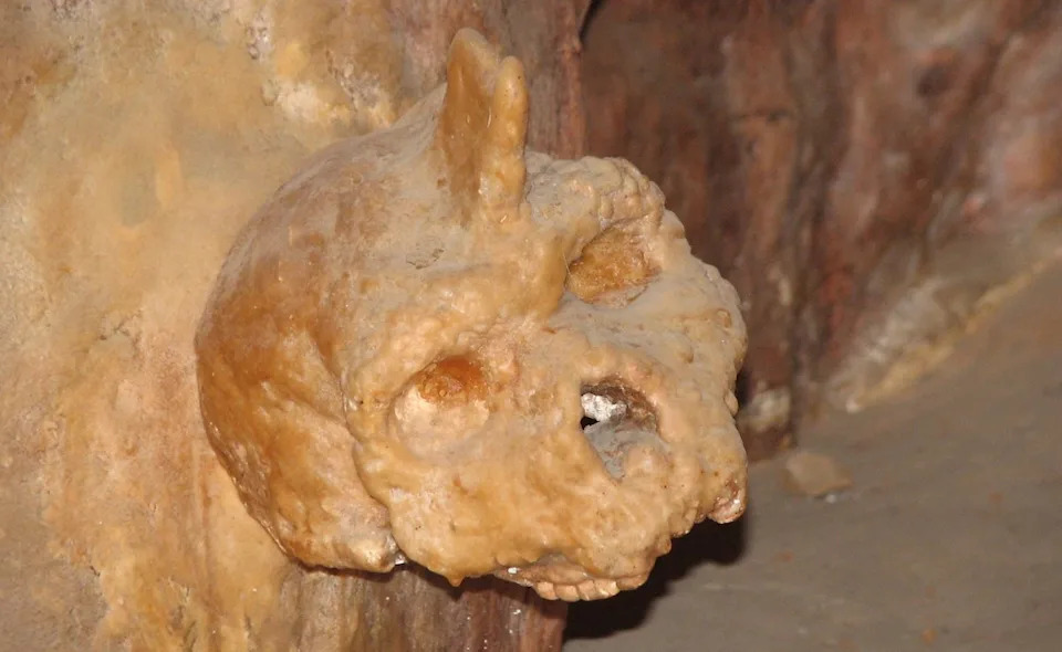 A partial skull, covered in brown-orange calcite with a partial stalgmite sticking out of its top, sits fused to a cave wall of a similar hue in the Petralona caves in Macedonia, Greece. Image via Nandina/Wikimedia Commons.