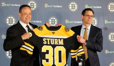 Marco Sturm, left, will have his work cut out for him.