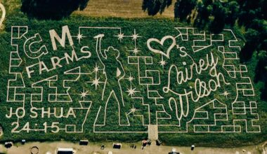 Dry Creek corn maze to pay tribute to La. native country star Lainey Wilson