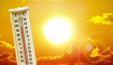 San Antonio project awarded $96K to tackle heat in South San community