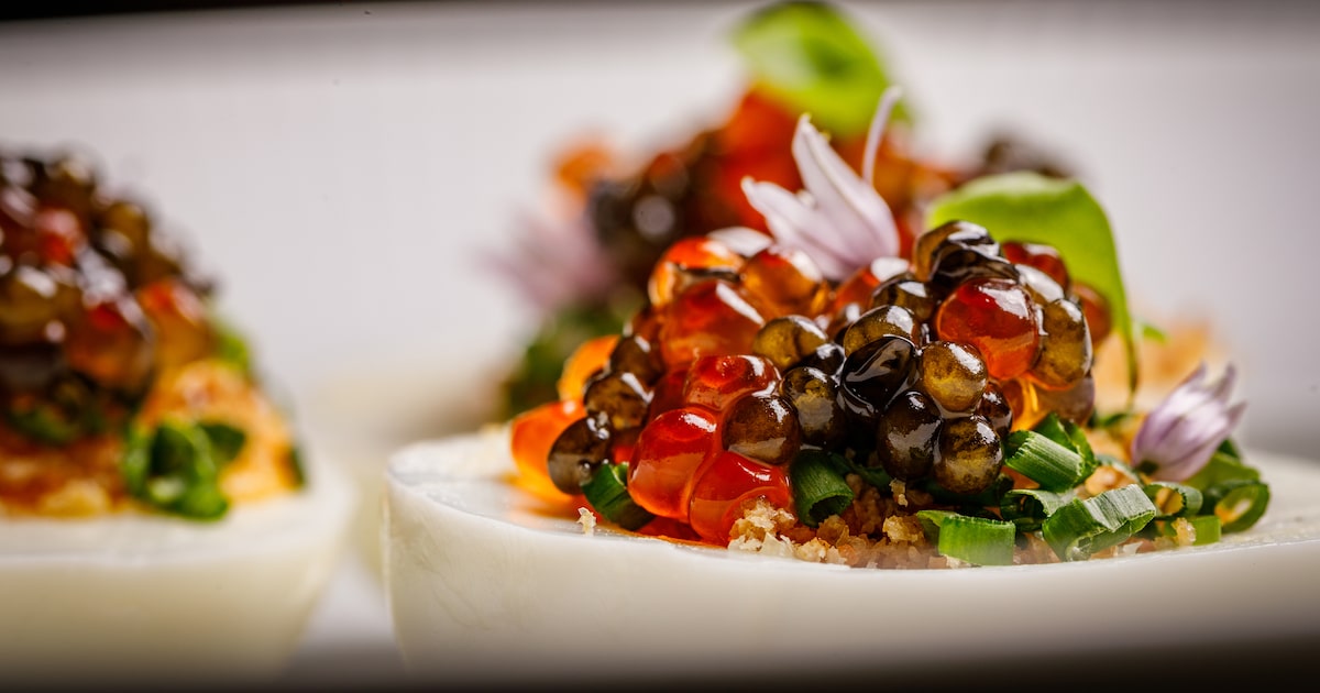 17 great restaurants and bars to visit in Dallas-Fort Worth in September 2025