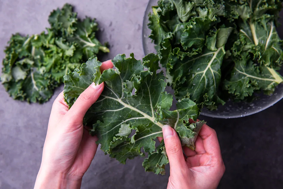 Kale leaf salad vegetable