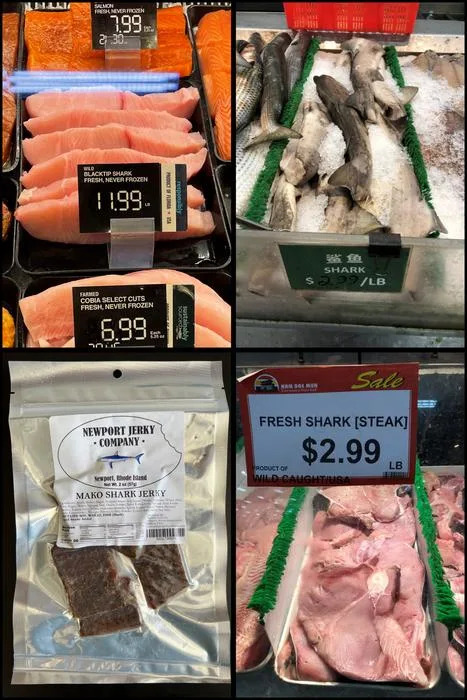 several samples of shark meat sold at stores