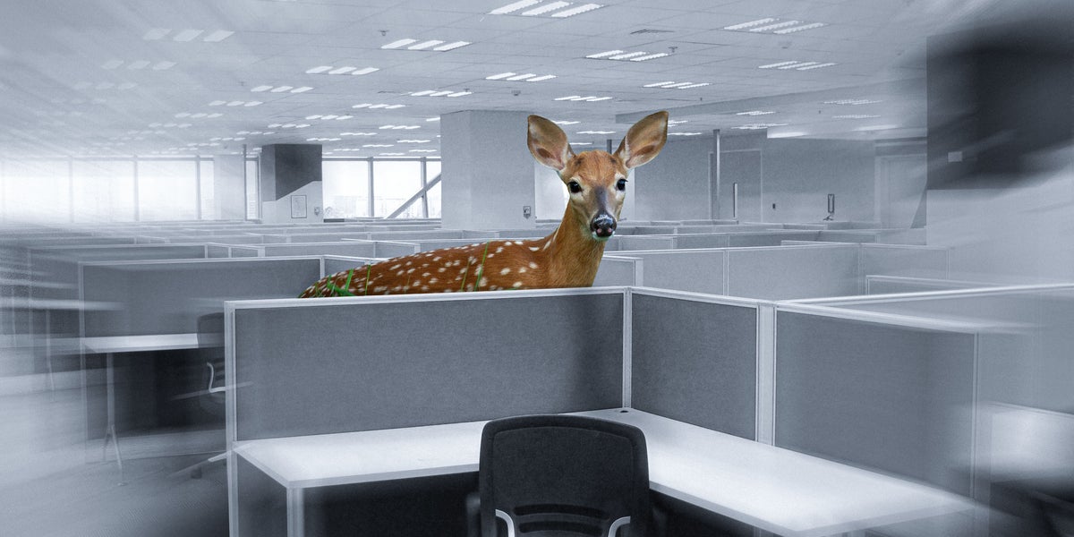 'Fawning' Is A Common Anxious Work Habit Many Of Us Do. Here's How To Break Out Of It.