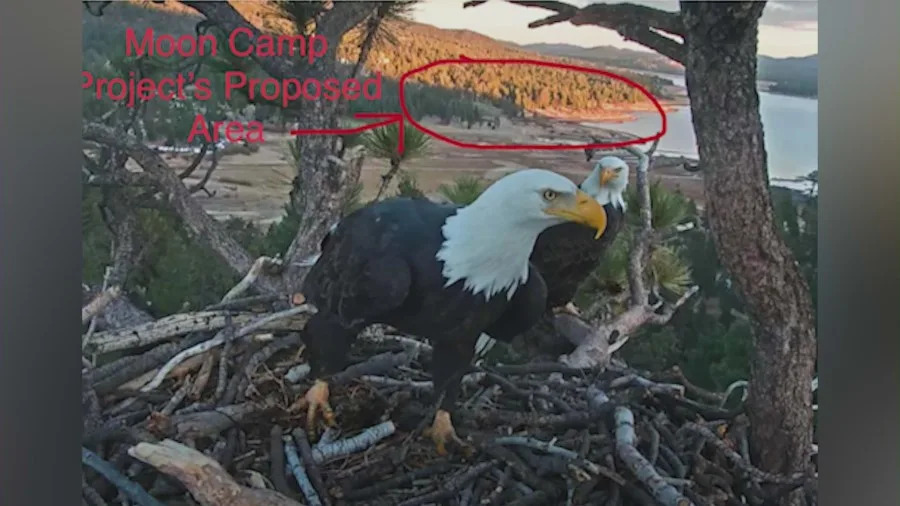 A photo indicating where a proposed residential development near Big Bear Lake would be built.