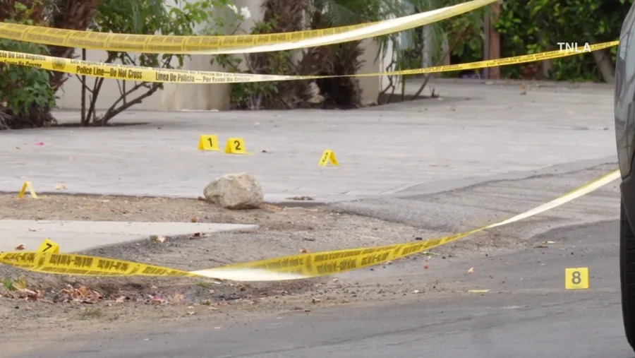Woodland Hills break-in